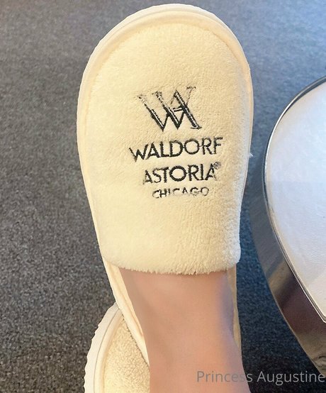 princessaugustine nude onlyfans leaks