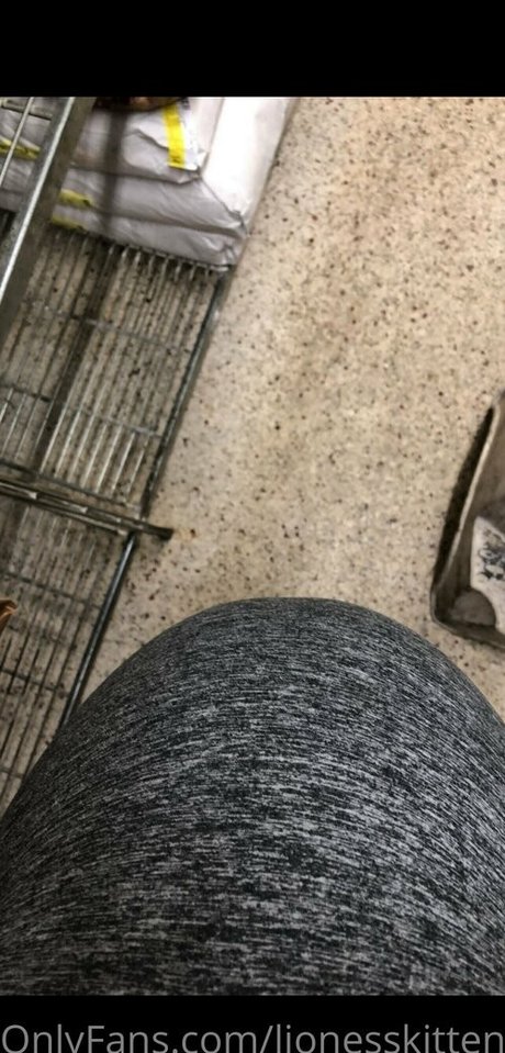 lionesskitten onlyfans leaks nude