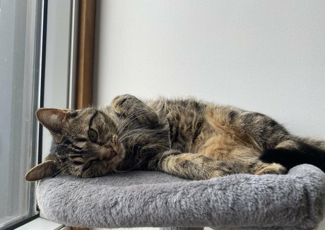 clara dee onlyfans leaked sex