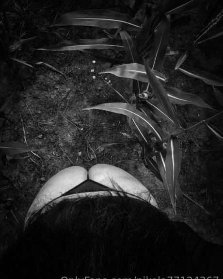 nikola77124367 leaked only fans porn