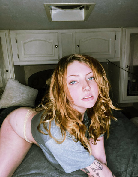 iroturott Profile pic