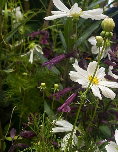 lexia 69 onlyfans porn leaks