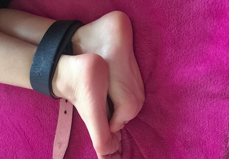 sugarbbunny only fans free