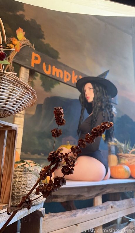 sibmouse nudes onlyfans leaked