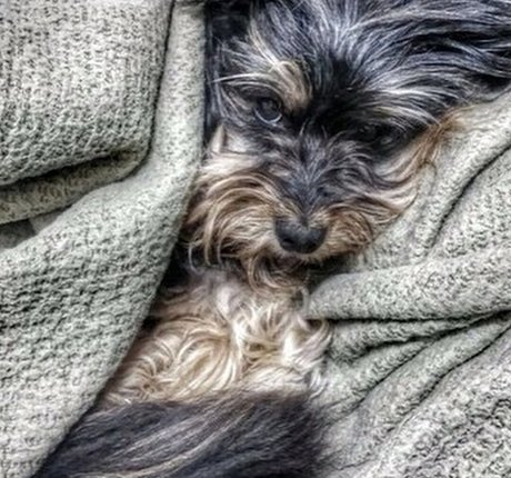 Nofar Froim onlyfans porn leaked