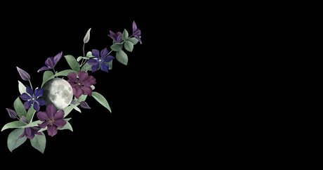 captivatingkaalia nude on onlyfans