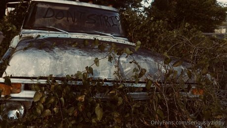 seriouslyzippy onlyfans sextape leak