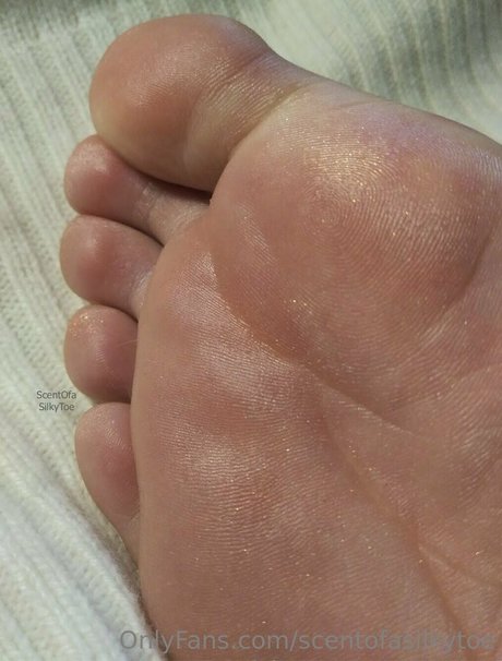 scentofasilkytoe onlyfans pics nude