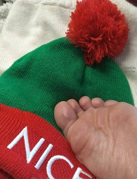 scentofasilkytoe onlyfans leaka