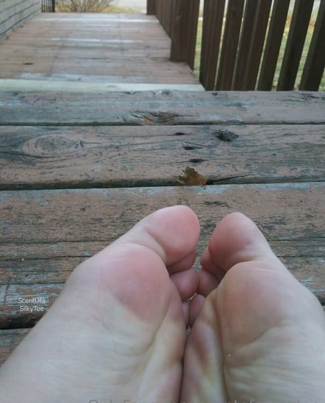 scentofasilkytoe only fans pics