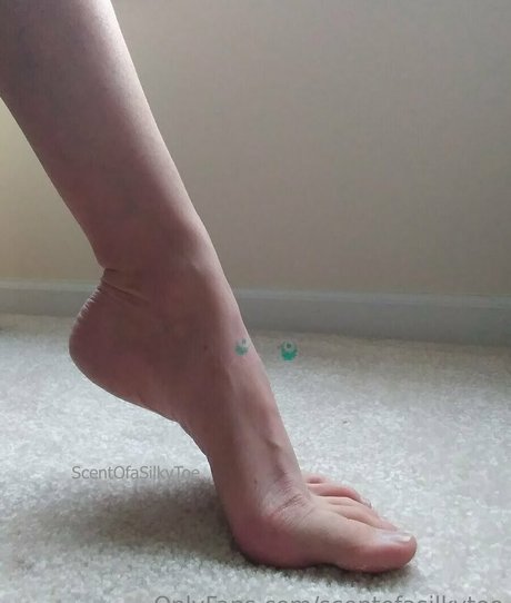 scentofasilkytoe onlyfans sextape leak
