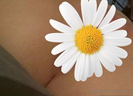 cowgirlvip onlyfans leak fuck