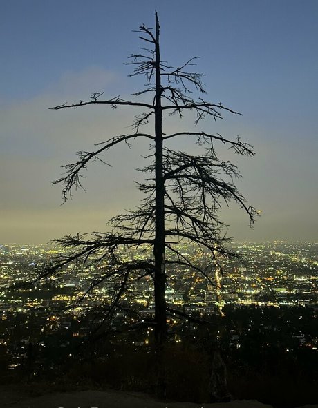 austinsummersnow onlyfans leak sex