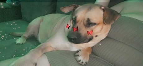 brattyprincess25 leaked onlyfans xxx