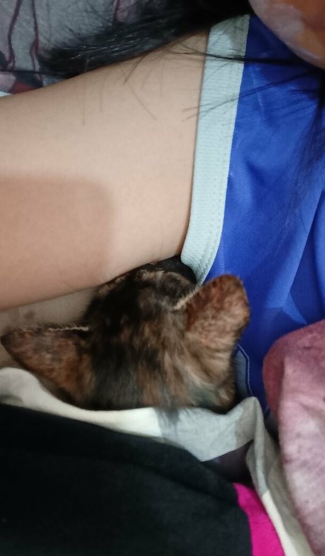 kittylunna onlyfans lean