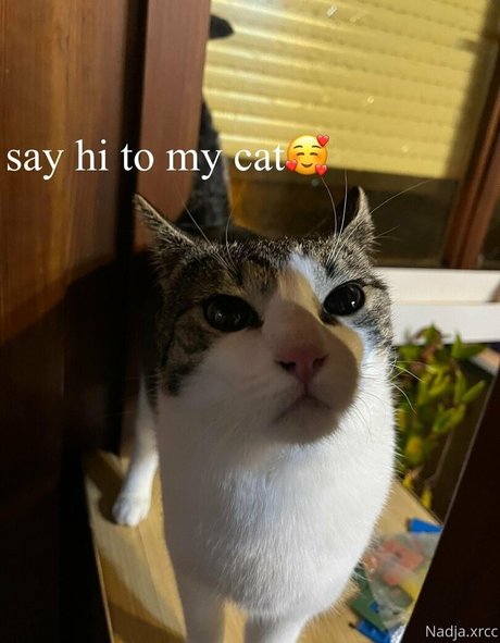 bunnynadja onlyfans leak nude