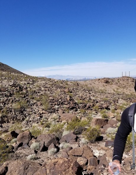 mialelanixxx nudes onlyfans leaked