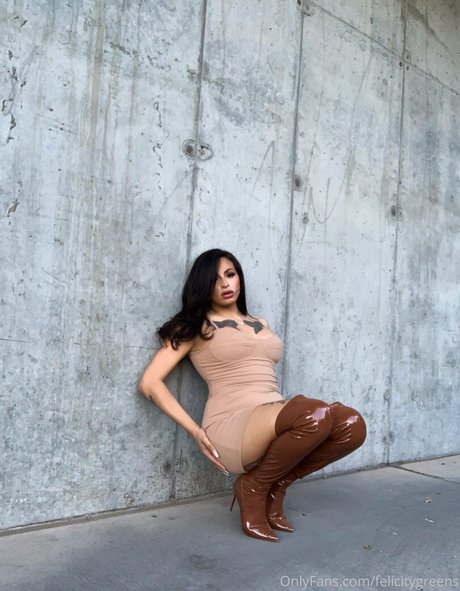 thefelicityfox onlyfans posts