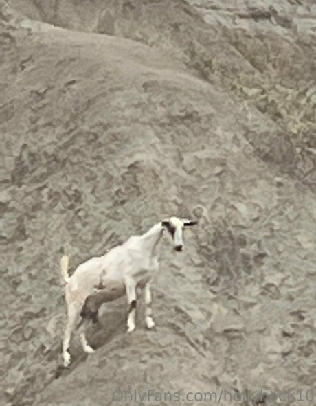 suuuuuki onlyfans model