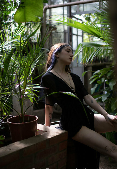 baby and dollyy Profile pic