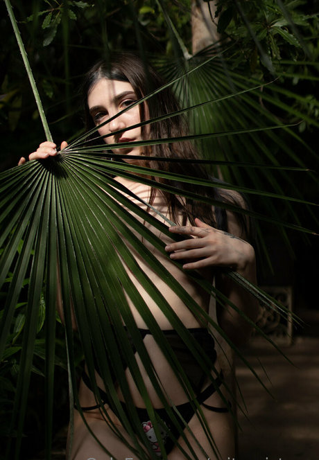 baby and dollyy onlyfans joi