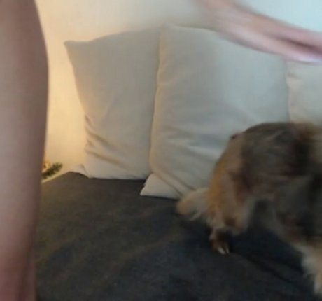 Recurbate S onlyfans leak