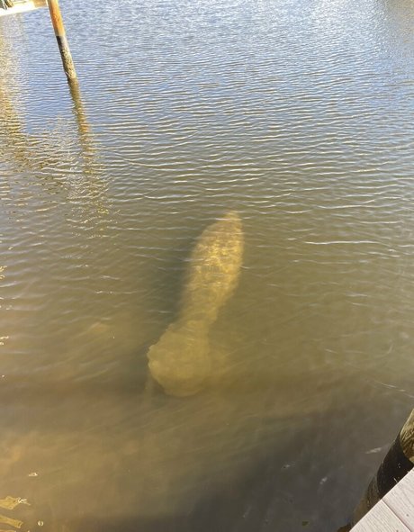 no jury topless onlyfans