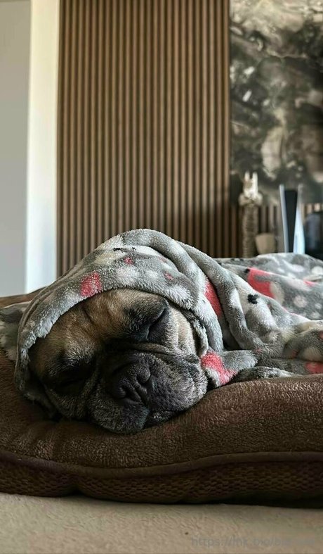 bianoir only fans leaked porn