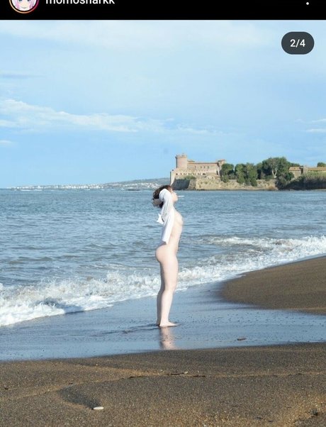 Momosharkk xxx onlyfans