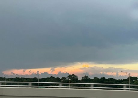 vanessaselene Profile pic