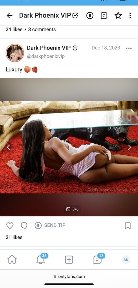 Dark Phoenix onlyfans porn