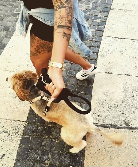 Alexandra Tokay leaked nude onlyfans