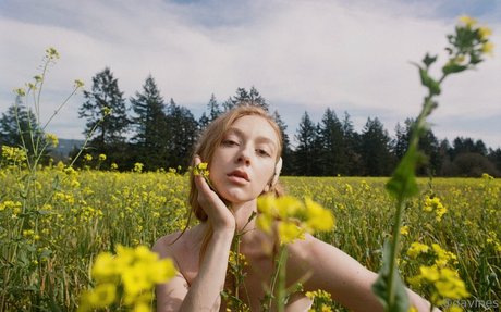 roisonheart onlyfans nudes