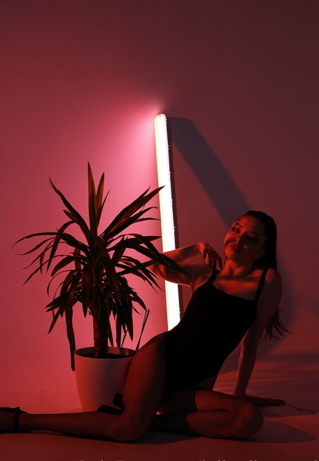 julia diamond onlyfans full