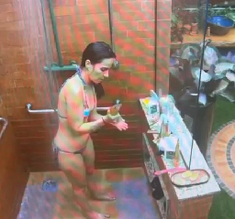 Wanessa Camargo onlyfans pics