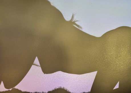 jackiefuxcks onlyfans xx