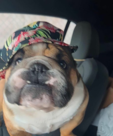 princessemilyyyy nude leaks onlyfans