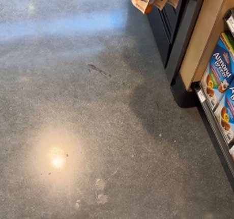 Gianna Dior onlyfans leaks