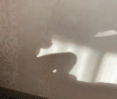 Dakota Blushing onlyfans sex tape