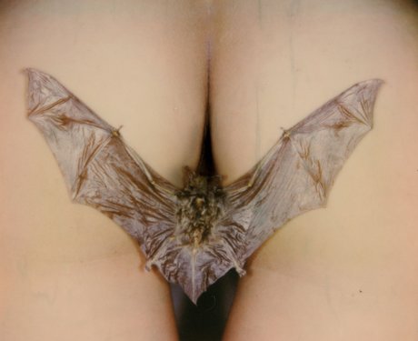 _Sad Samo onlyfans post