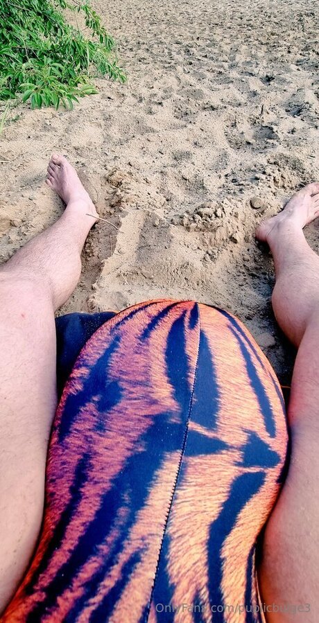 Publicbulge3 onlyfans for free