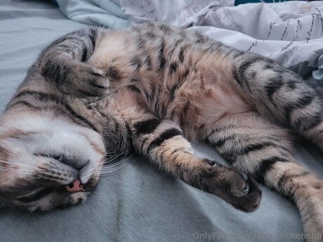 Daisanokensha onlyfans naked