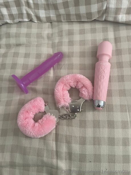 Pr1ncessm0lly onlyfans leaked pics