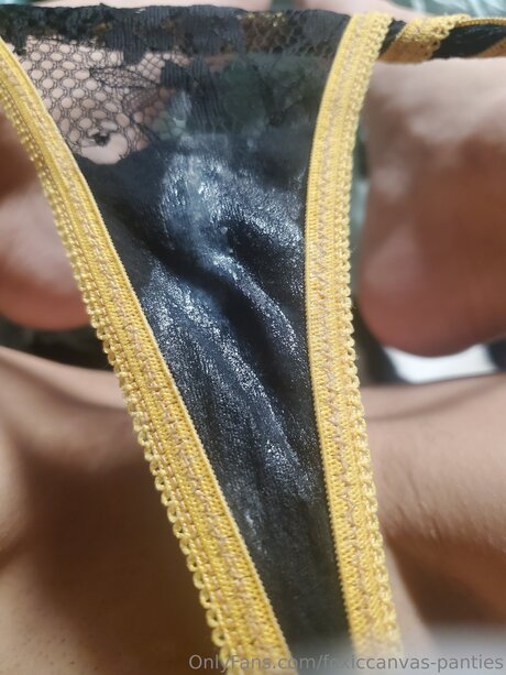 Foxiccanvas Pantyland onlyfans leaks free