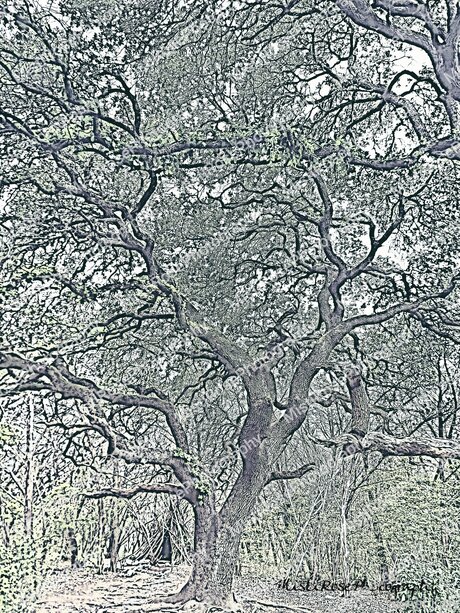 Sweetkitty777 nude only fans leaks