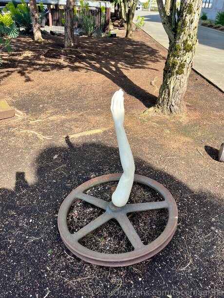 Tacomaarms sex onlyfans