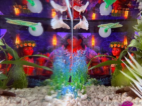 Gracie Hart onlyfans model images