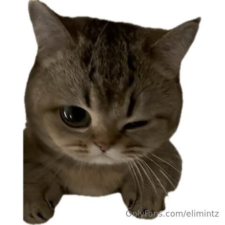 Elimintz onlyfans pics leaked