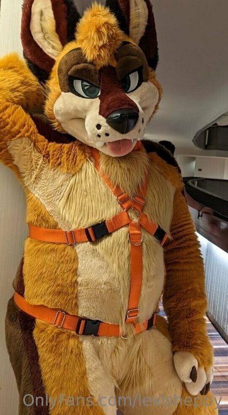 levisheppy leaked onlyfans naked