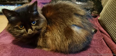 joebutnsfw only fans nudes